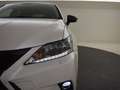 Lexus CT 200h Sport Edition | Allseasons | Stoelverwarming | Blanco - thumbnail 30