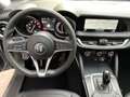 Alfa Romeo Stelvio Stelvio 2.0 T Benzina Q4 200cv Autom Executive Grigio - thumbnail 9