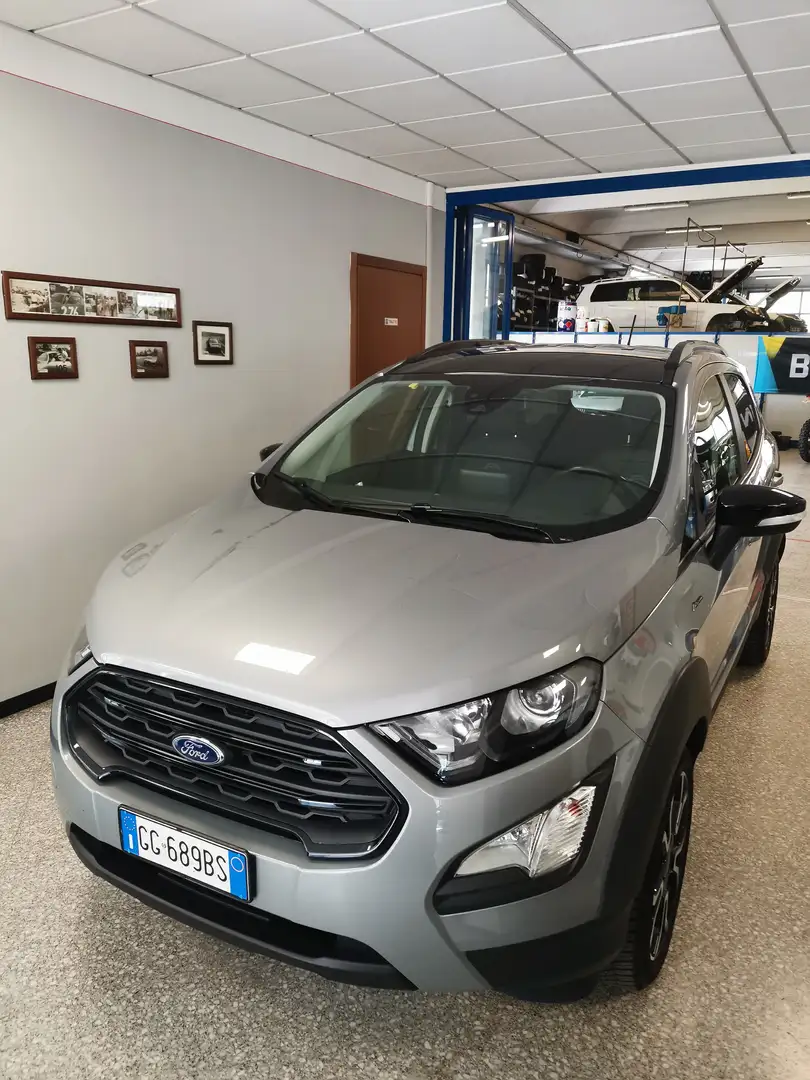 Ford EcoSport EcoSport 1.0 ecoboost Active s Gris - 1