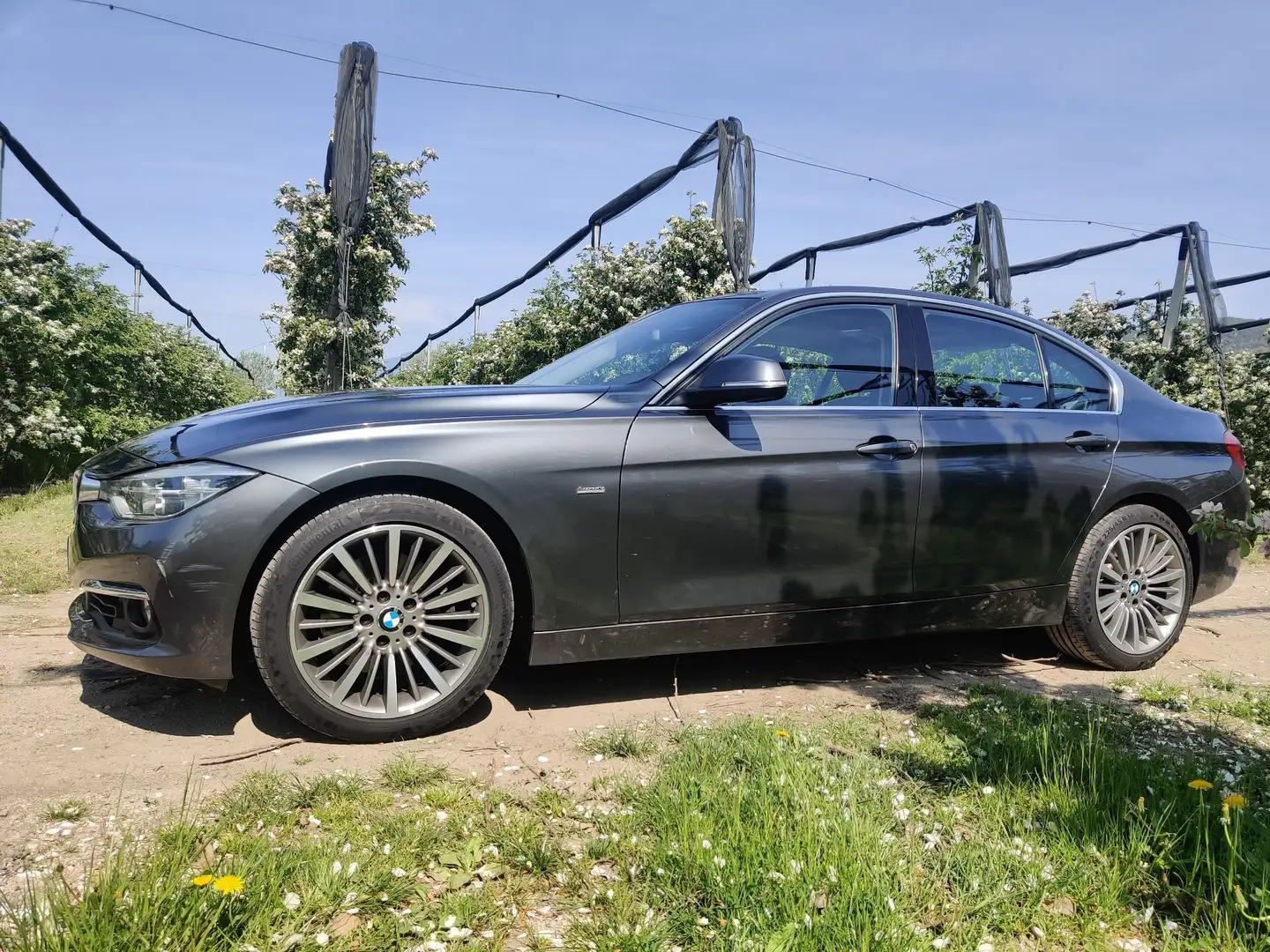 BMW 330 330dA Luxury - 1