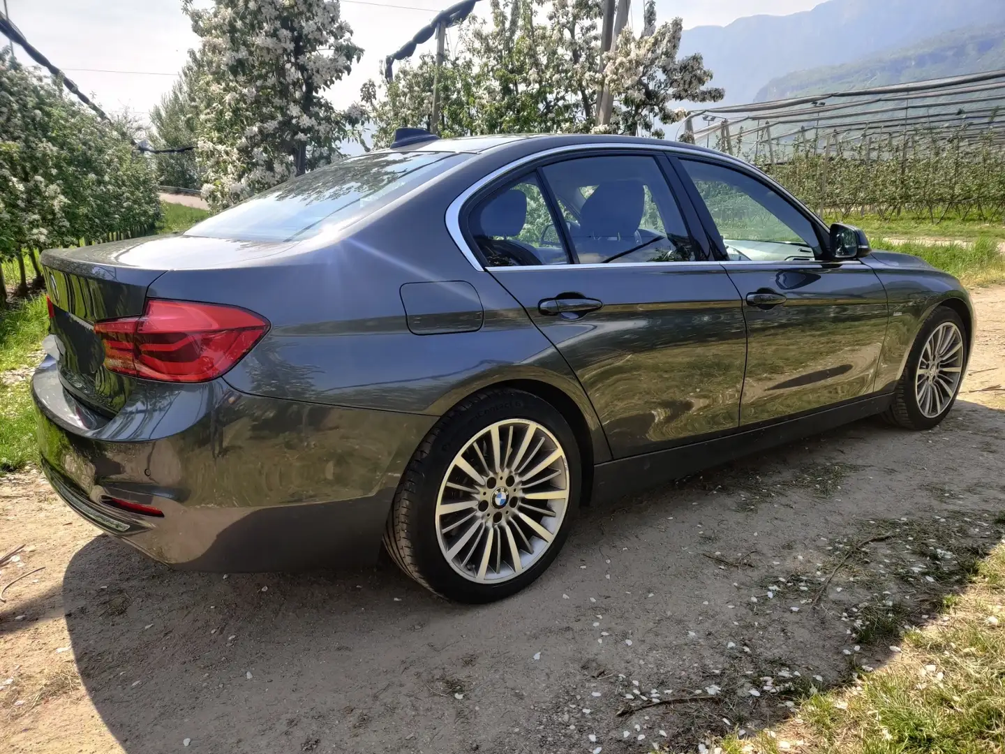 BMW 330 330dA Luxury - 2
