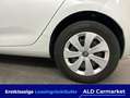 Renault ZOE (ohne Batterie) Z.E. 50 LIFE Limousine, 5-türig, D Weiß - thumbnail 7