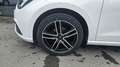 SEAT Ibiza 1,0 Reference**Alufelgen gegen Aufpreis** Weiß - thumbnail 25
