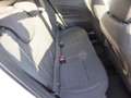 Fiat 600 Hybrid Basis Bianco - thumbnail 16