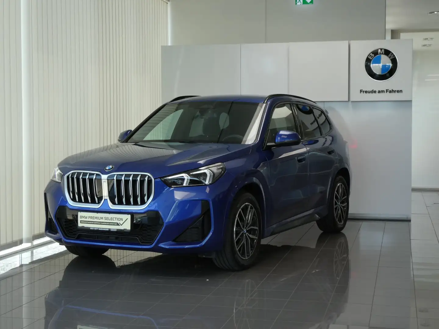 BMW X1 xDrive20d M-Sportpaket Blau - 1