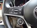Alfa Romeo Stelvio 2.2 Turbodiesel 210 CV AT8 Q4 Executive Бронзовий - thumbnail 12