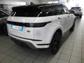 Land Rover Range Rover Evoque Range Rover Evoque  2.0d i4 mhev SE awd 150cv auto Bianco - thumbnail 4