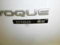 Land Rover Range Rover Evoque Range Rover Evoque  2.0d i4 mhev SE awd 150cv auto Bianco - thumbnail 11