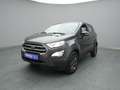 Ford EcoSport Cool&Connect 100PS/Winter-Paket Grau - thumbnail 23