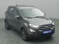 Ford EcoSport Cool&Connect 100PS/Winter-Paket Grau - thumbnail 25