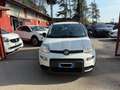 Fiat Panda 1.0 FireFly S&S Hybrid City Cross Blanco - thumbnail 4
