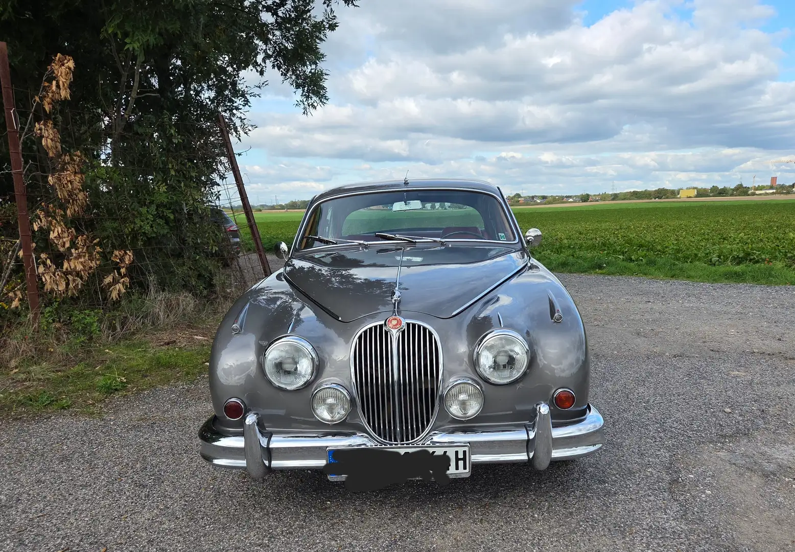 Jaguar MK II Servolenkung, 5-Gang G-Trac Getriebe - 2