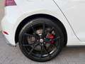 Volkswagen Golf GTI 2.0 TSI Performance, LED, STOELVERWARMING, VIRTUAL Weiß - thumbnail 19