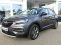 Opel Grandland X Kamera LED Spurleitassistent Temp. Grau - thumbnail 1