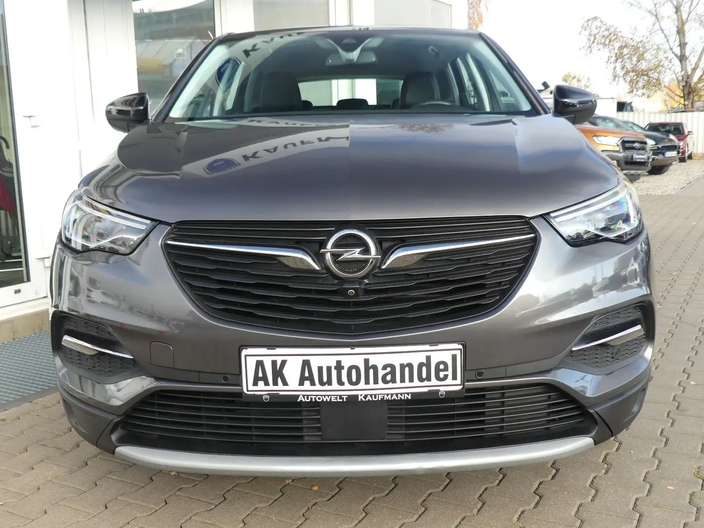 Opel Grandland X Kamera LED Spurleitassistent Temp. Grau - 2