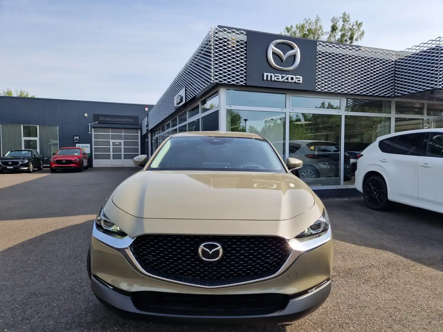 Mazda CX-30 Exclusive-line DASO DESI 2.0L e-SKYACTIV G 150ps F Bej - 2
