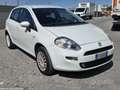 Fiat Punto Punto 5p 1.4 natural power Lounge 70cv Білий - thumbnail 1