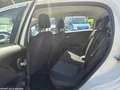 Fiat Punto Punto 5p 1.4 natural power Lounge 70cv Білий - thumbnail 7