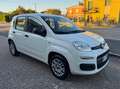 Fiat Panda Panda 1.2 Easy Bianco - thumbnail 1