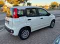 Fiat Panda Panda 1.2 Easy Bianco - thumbnail 2