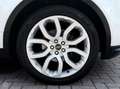 Land Rover Range Rover Evoque 2.2 TD4 4WD Prestige Panoramadak Trekhaak Meridian Wit - thumbnail 33