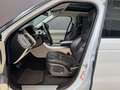 Land Rover Range Rover Sport 3.0 TDV6 HSE TETTO PANORAMICO - INTERNO BICOLORE Bianco - thumbnail 10
