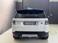 Land Rover Range Rover Sport 3.0 TDV6 HSE TETTO PANORAMICO - INTERNO BICOLORE Bianco - thumbnail 5