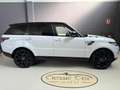 Land Rover Range Rover Sport 3.0 TDV6 HSE TETTO PANORAMICO - INTERNO BICOLORE Bianco - thumbnail 7