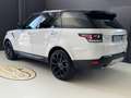 Land Rover Range Rover Sport 3.0 TDV6 HSE TETTO PANORAMICO - INTERNO BICOLORE Bianco - thumbnail 6