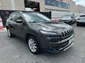Jeep Cherokee 2.2 Mjt II 4WD Active Drive I Limited Grigio - thumbnail 8