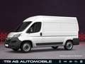 Opel Movano Cargo 3,5t L2H2 Techno-Plus-Paket Cargo-P Weiß - thumbnail 12