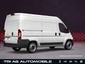 Opel Movano Cargo 3,5t L2H2 Techno-Plus-Paket Cargo-P Weiß - thumbnail 5