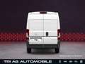Opel Movano Cargo 3,5t L2H2 Techno-Plus-Paket Cargo-P Weiß - thumbnail 7