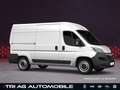 Opel Movano Cargo 3,5t L2H2 Techno-Plus-Paket Cargo-P Weiß - thumbnail 2