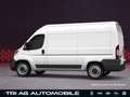 Opel Movano Cargo 3,5t L2H2 Techno-Plus-Paket Cargo-P Weiß - thumbnail 10