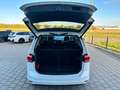 Volkswagen Touran 1.5 TSI /Pano/AHK/StHzG/7-Sitzer/DynAudio Weiß - thumbnail 7