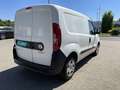 Fiat Cargo Weiß - thumbnail 11