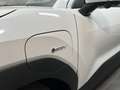 Toyota Urban Cruiser AWD Lounge Weiß - thumbnail 4
