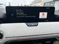 Mazda CX-60 CX-60 3.3 m-hybrid  Takumi  FULL Gris - thumbnail 21