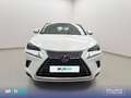 Lexus NX 300h 2.5  Navigation 2WD Business Blanco - thumbnail 2