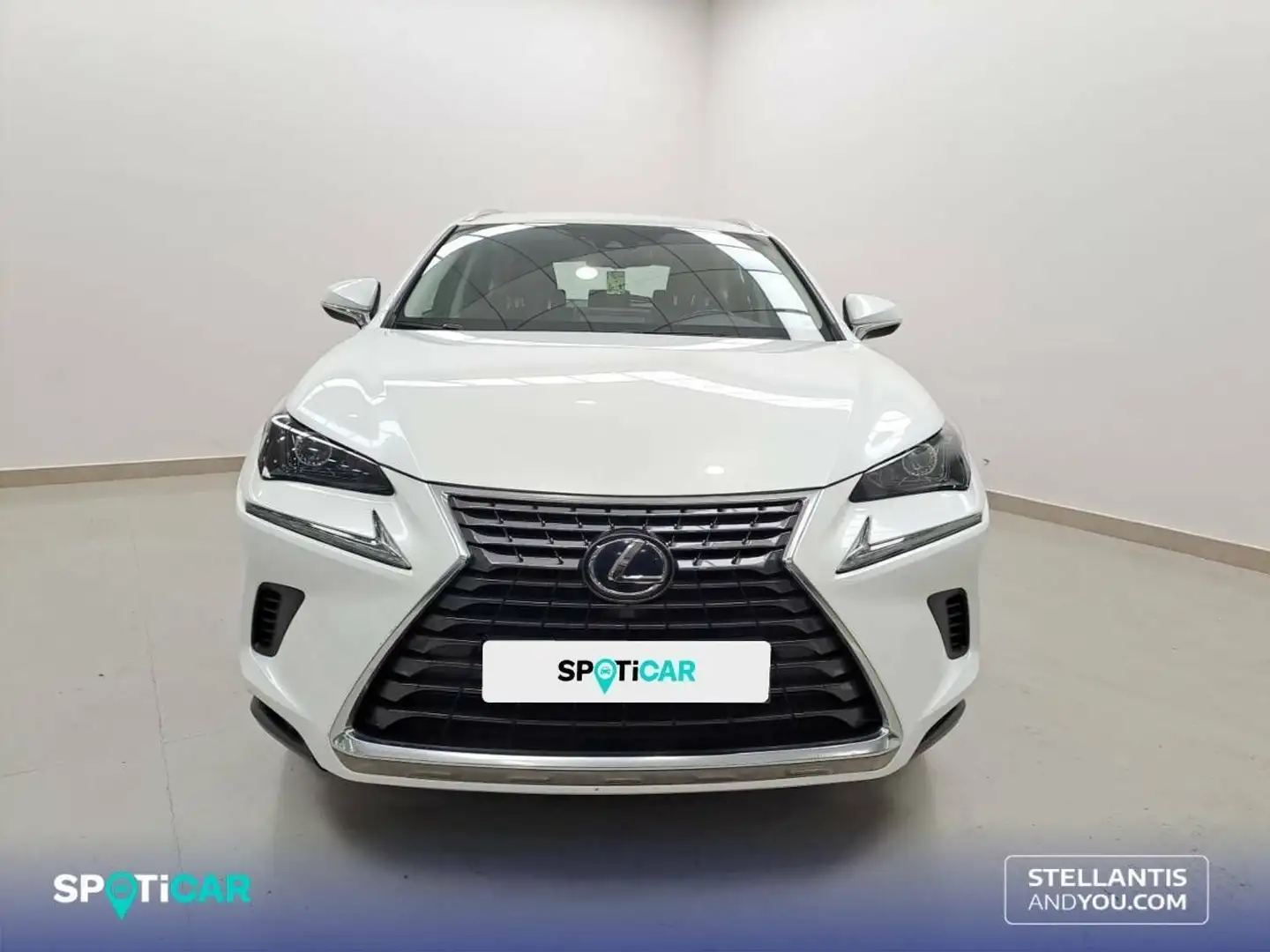 Lexus NX 300h 2.5  Navigation 2WD Business Blanco - 2