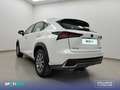 Lexus NX 300h 2.5  Navigation 2WD Business Blanco - thumbnail 7