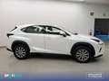 Lexus NX 300h 2.5  Navigation 2WD Business Blanco - thumbnail 4