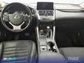 Lexus NX 300h 2.5  Navigation 2WD Business Blanco - thumbnail 8