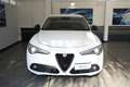 Alfa Romeo Stelvio 2.2 Turbodiesel 180 CV AT8 RWD Executive Bianco - thumbnail 2