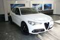 Alfa Romeo Stelvio 2.2 Turbodiesel 180 CV AT8 RWD Executive Blanc - thumbnail 3