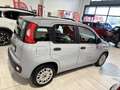 Fiat Panda 1.0  HYBRID 70CV KM. CERT. AZIENDALE 1PROPRIETARIO Grigio - thumbnail 5
