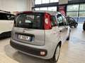 Fiat Panda 1.0  HYBRID 70CV KM. CERT. AZIENDALE 1PROPRIETARIO Grigio - thumbnail 7