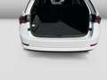 Skoda Octavia Combi 1.4TSI iV DSG Style Cam Sportsitze Weiß - thumbnail 12
