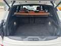 BMW X5 xDrive30d 48V Msport Bianco - thumbnail 23